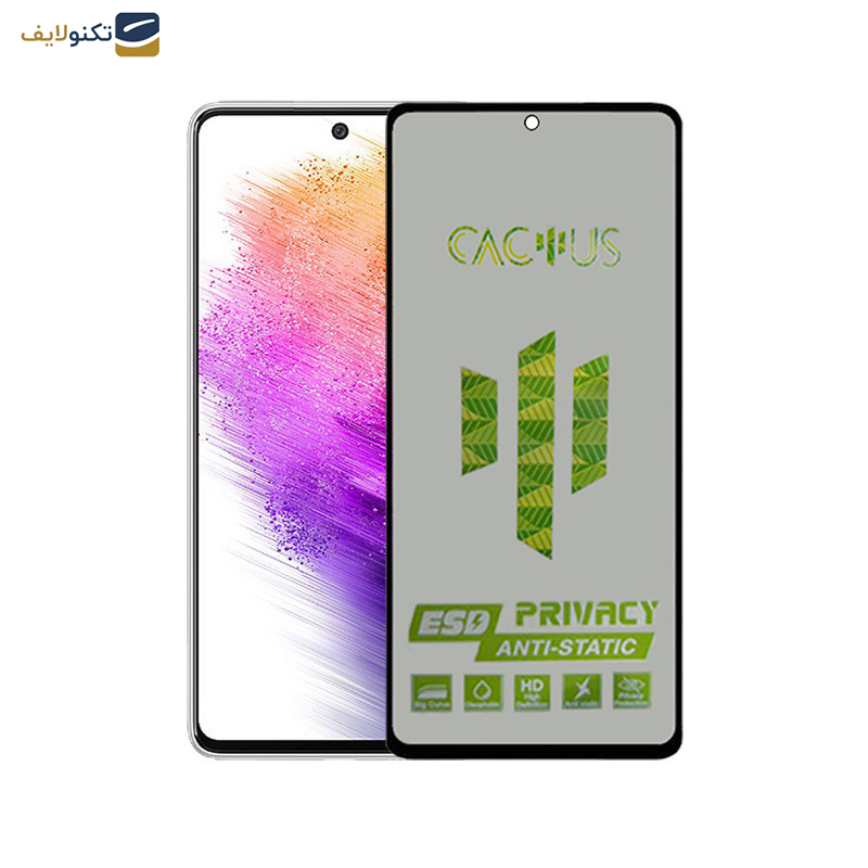 محافظ صفحه نمایش حریم شخصی اپیکوی مدل Cactus-ESD-Privacy مناسب برای گوشی موبایل سامسونگ Galaxy A73 5G - A72 4G - 5G - M54 - M53 5G - M52 -  M5 - A71 - A81 - A91 - M62 - F62-S10 Lite - Note 10 Lite - Glass Screen Protector Epicoy Cactus-ESD-Privacy For Samsung Galaxy A73 5G-A72 4G-5G -M54 -M53 5G-M52- M5-A71-A81-A91-M62-F62-S10 Lite-Note 10 Lite