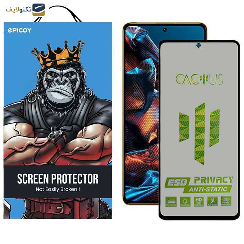 محافظ صفحه نمایش حریم شخصی اِپیکوی مدل Cactus-ESD-Privacy مناسب برای گوشی موبایل شیائومی Xiaomi Poco X5 Pro - Poco X5 - Poco X4 Pro 5G - Epicoy Cactus-ESD-Privacy Glass Screen Protector For Xiaomi Poco X5 Pro - Poco X5 - Poco X4 Pro 5G