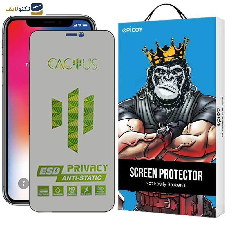 محافظ صفحه نمایش حریم شخصی اپیکوی مدل Cactus-ESD-Privacy مناسب برای گوشی موبایل اپل iPhone 11 - XR - Epicoy Cactus-ESD-Privacy Screen Protector For Apple iPhone 11 - XR