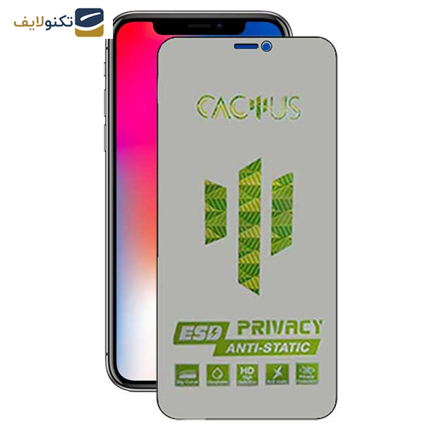محافظ صفحه نمایش حریم شخصی اپیکوی مدل Cactus-ESD-Privacy مناسب برای گوشی موبایل اپل iPhone Xs- X - Epicoy Cactus-ESD-Privacy Screen Protector For Apple iPhone Xs - X