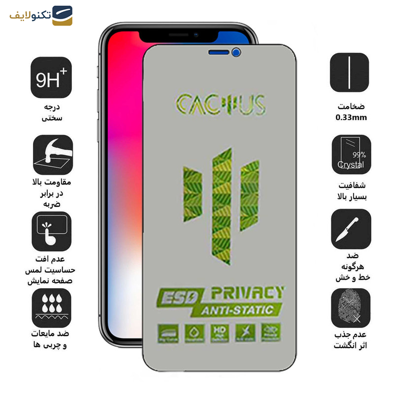 محافظ صفحه نمایش حریم شخصی اپیکوی مدل Cactus-ESD-Privacy مناسب برای گوشی موبایل اپل iPhone Xs- X - Epicoy Cactus-ESD-Privacy Screen Protector For Apple iPhone Xs - X