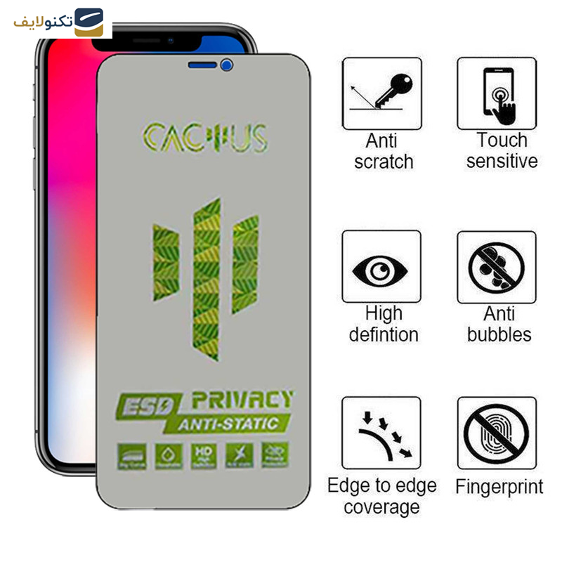 محافظ صفحه نمایش حریم شخصی اپیکوی مدل Cactus-ESD-Privacy مناسب برای گوشی موبایل اپل iPhone Xs- X - Epicoy Cactus-ESD-Privacy Screen Protector For Apple iPhone Xs - X