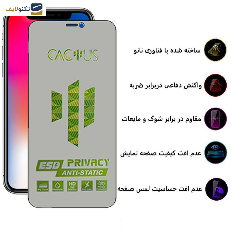 محافظ صفحه نمایش حریم شخصی اپیکوی مدل Cactus-ESD-Privacy مناسب برای گوشی موبایل اپل iPhone Xs- X - Epicoy Cactus-ESD-Privacy Screen Protector For Apple iPhone Xs - X