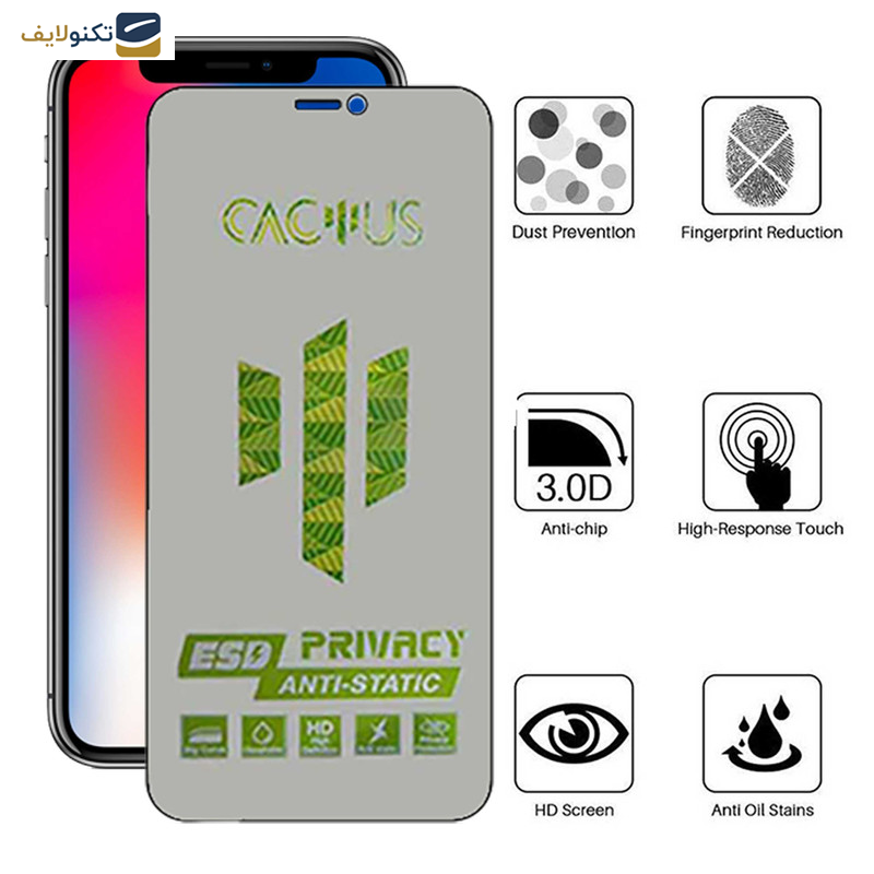 محافظ صفحه نمایش حریم شخصی اپیکوی مدل Cactus-ESD-Privacy مناسب برای گوشی موبایل اپل iPhone Xs- X - Epicoy Cactus-ESD-Privacy Screen Protector For Apple iPhone Xs - X