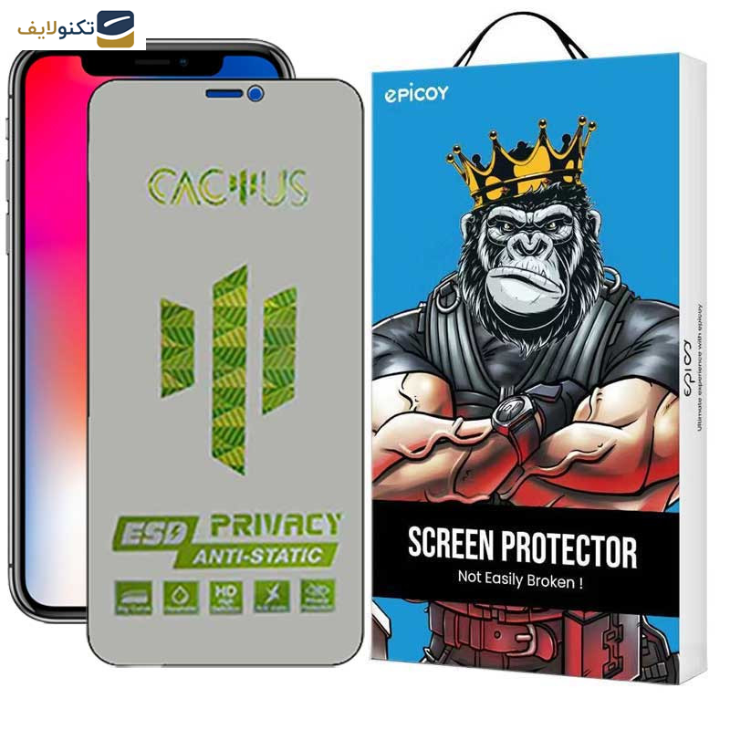 محافظ صفحه نمایش حریم شخصی اپیکوی مدل Cactus-ESD-Privacy مناسب برای گوشی موبایل اپل iPhone Xs- X - Epicoy Cactus-ESD-Privacy Screen Protector For Apple iPhone Xs - X