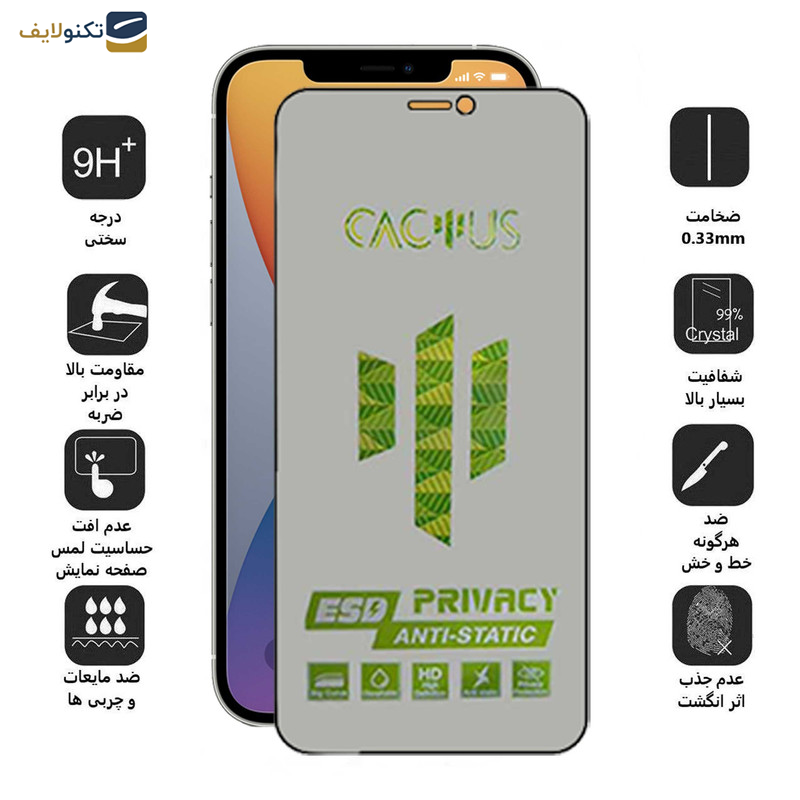 محافظ صفحه نمایش حریم شخصی اپیکوی مدل Cactus-ESD-Privacy مناسب برای گوشی موبایل اپل iPhone 12 Pro Max - Glass Screen Protector Epicoy Cactus-ESD-Privacy For Apple iPhone 12 Pro Max