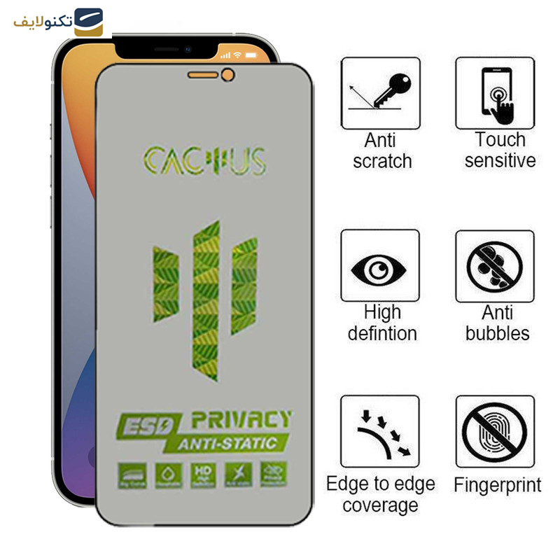 محافظ صفحه نمایش حریم شخصی اپیکوی مدل Cactus-ESD-Privacy مناسب برای گوشی موبایل اپل iPhone 12 Pro Max - Glass Screen Protector Epicoy Cactus-ESD-Privacy For Apple iPhone 12 Pro Max