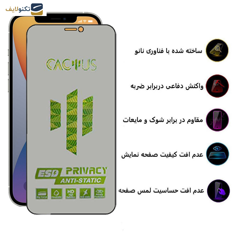 محافظ صفحه نمایش حریم شخصی اپیکوی مدل Cactus-ESD-Privacy مناسب برای گوشی موبایل اپل iPhone 12 Pro Max - Glass Screen Protector Epicoy Cactus-ESD-Privacy For Apple iPhone 12 Pro Max