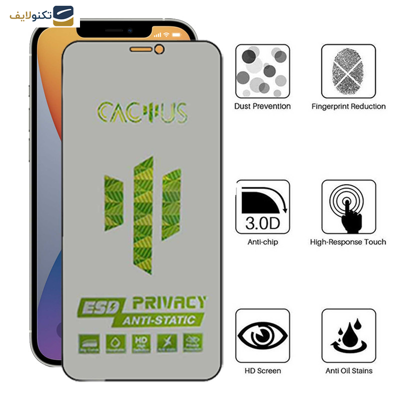 محافظ صفحه نمایش حریم شخصی اپیکوی مدل Cactus-ESD-Privacy مناسب برای گوشی موبایل اپل iPhone 12 Pro Max - Glass Screen Protector Epicoy Cactus-ESD-Privacy For Apple iPhone 12 Pro Max