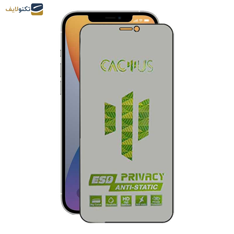 محافظ صفحه نمایش حریم شخصی اپیکوی مدل Cactus-ESD-Privacy مناسب برای گوشی موبایل اپل iPhone 12 Pro Max - Glass Screen Protector Epicoy Cactus-ESD-Privacy For Apple iPhone 12 Pro Max
