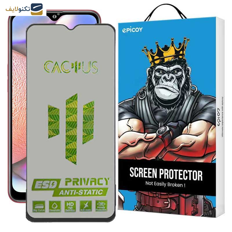 محافظ صفحه نمایش حریم شخصی اپیکوی مدل Cactus-ESD-Privacy مناسب برای گوشی موبایل سامسونگ Galaxy A10s - Epicoy Cactus-ESD-Privacy Screen Protector For Samsung Galaxy A10s