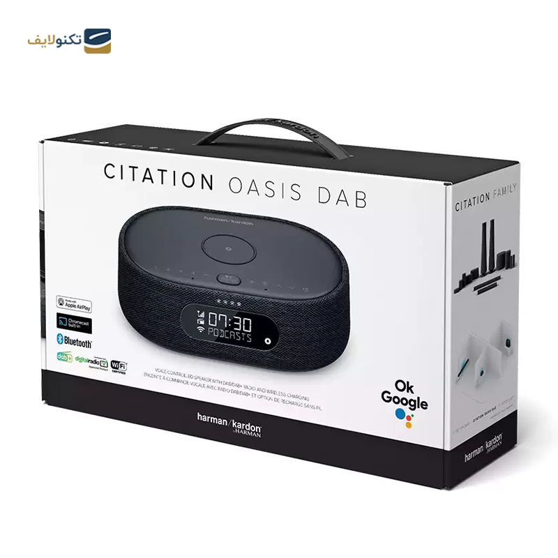 اسپیکر بلوتوثی قابل حمل هارمن کاردن مدل Citation Oasis DAB - Harman Kardon Citation Oasis DAB Portable Bluetooth Speaker