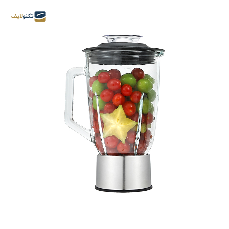 آبمیوه گیری 4 کاره بیم مدل FP-2003  - Beem FP-2003 Juicer